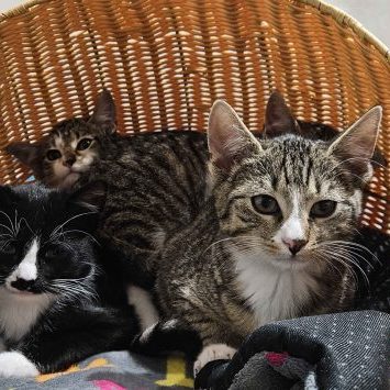 20241125_181411-768x355