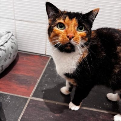 295b7d54-e141-48b1-a09d-1f83588a3099-768x1024