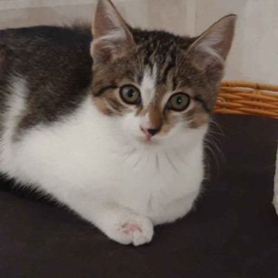 IMG-20241122-WA0039-576x1024