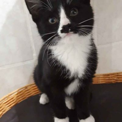 IMG-20241122-WA0043-2-576x1024