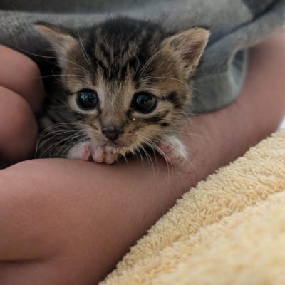 IMG_1263_Original-768x1020