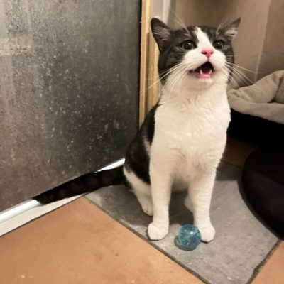 IMG_1820_Original-768x1024