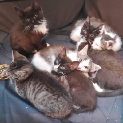 IMG_2337_Original-768x576