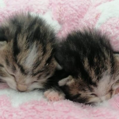 IMG_2776_Original-768x485