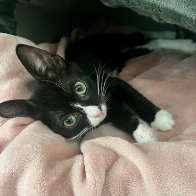 IMG_2918_Original-768x895