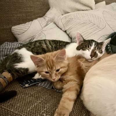 IMG_4588_Original-768x1023