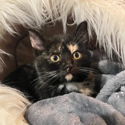 IMG_5442_Original-768x1024