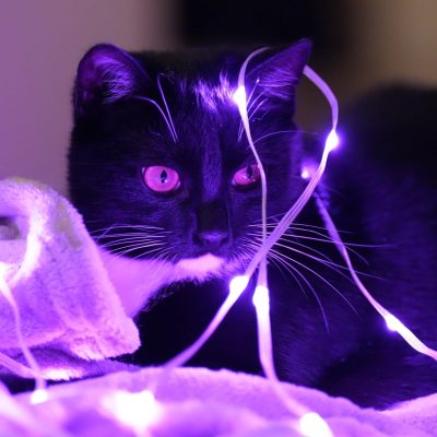 PHOTO-2024-12-31-10-35-27-2-scaled