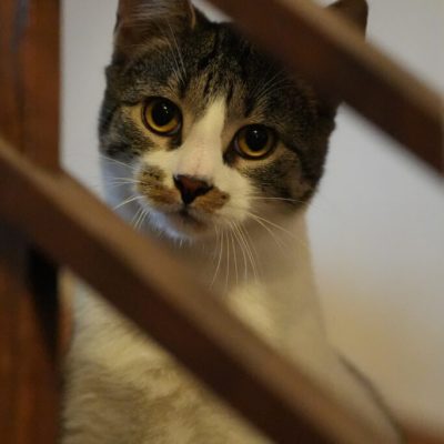 PHOTO-2024-12-31-10-35-31-5-683x1024