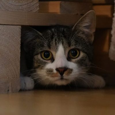 PHOTO-2024-12-31-10-35-31-768x512